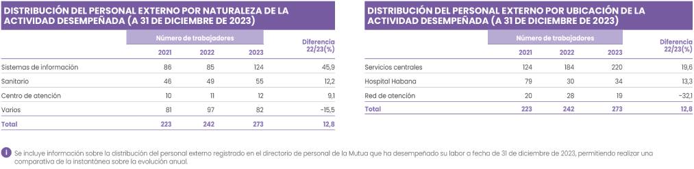 DISTRIBUCIÓN DEL PERSONAL EXTERNO POR NATURALEZA DE LA
                        ACTIVIDAD DESEMPEÑADA (A 31 DE DICIEMBRE DE 2022)