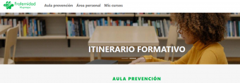 Itinerarios formativos