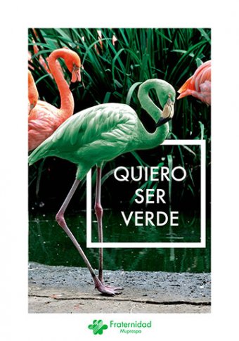 Quero ser verde (flamengos)